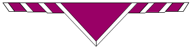 16th Warrington West (1st Burtonwood)