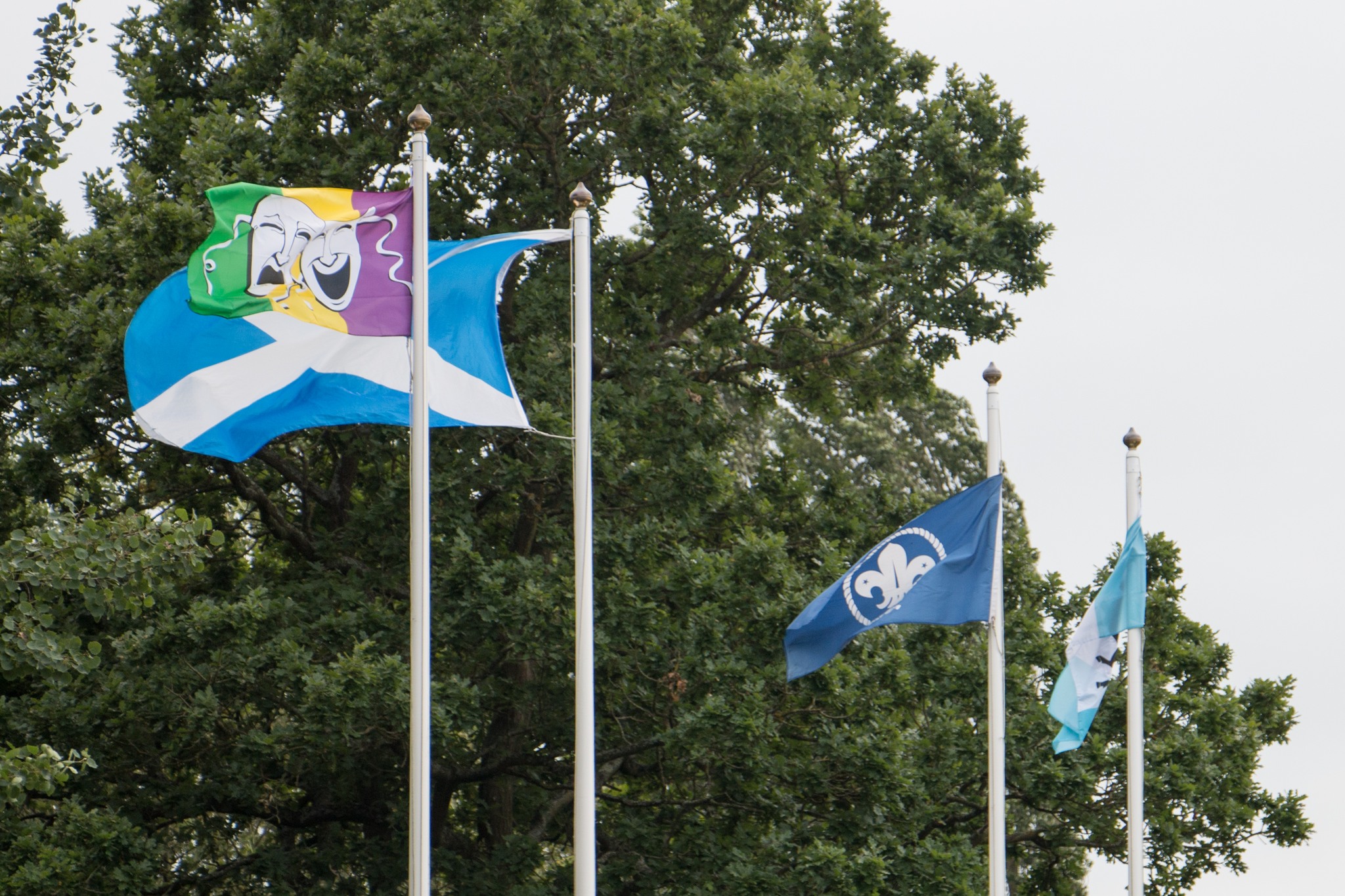 Flags from the Network Festival